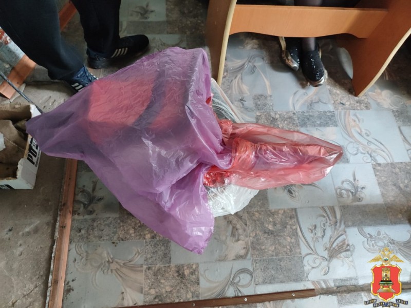 "Черные лесорубы" заготовили в Тверской области больше 1 800 кубических метров древесины