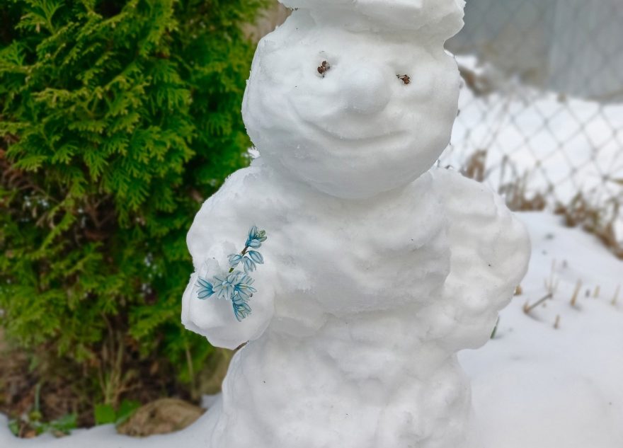 В апреле жители Тверской области лепят снеговиков