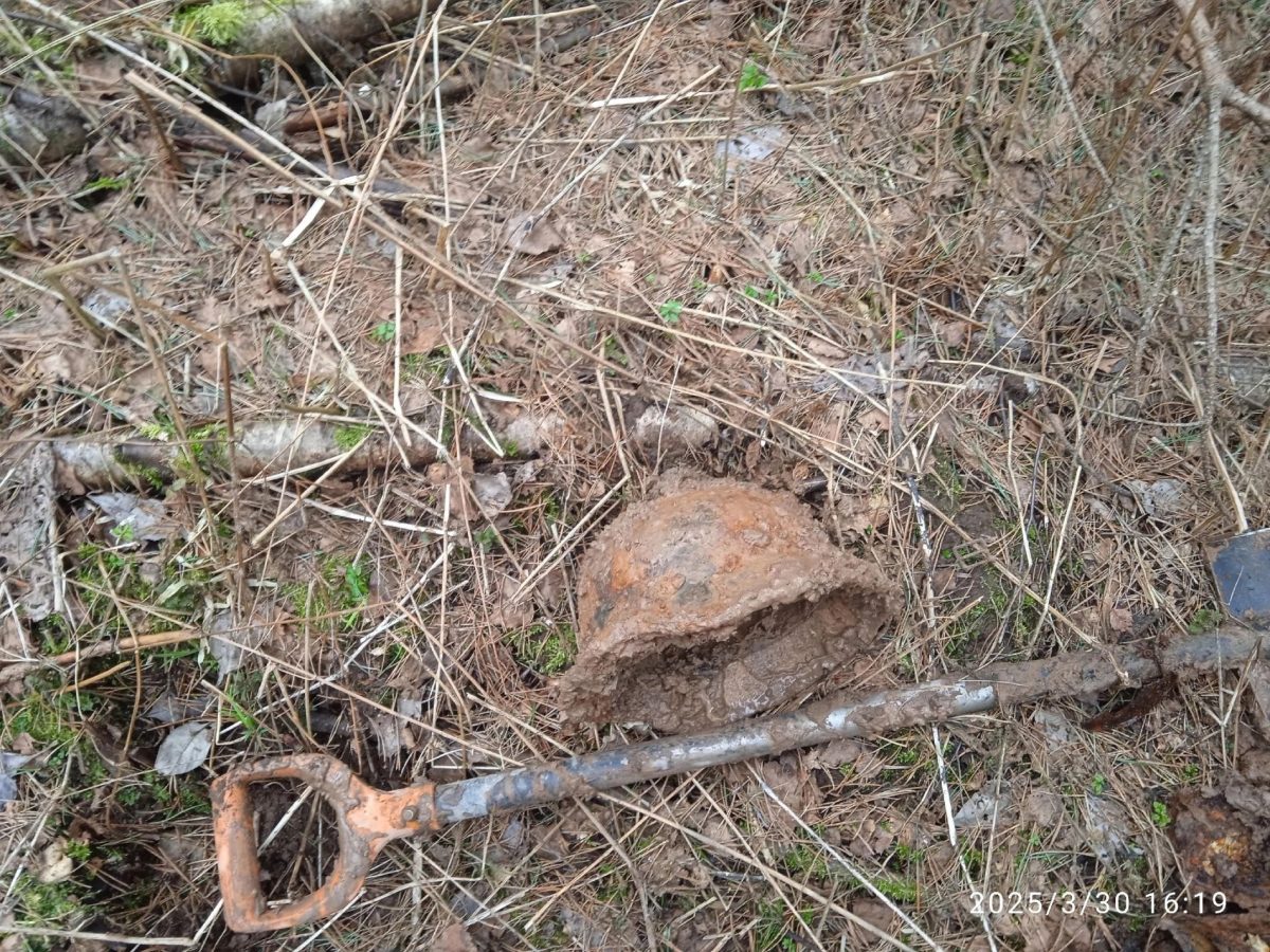 В двух районах Тверской области поисковики нашли останки немецких солдат