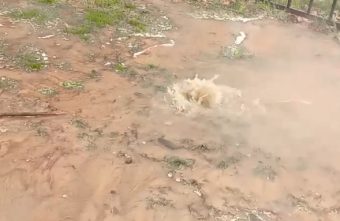 В Твери рядом со школой из-под земли бьет кипяток