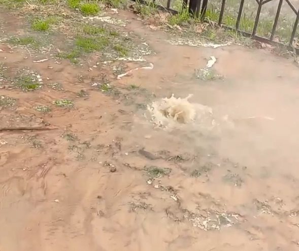 В Твери рядом со школой из-под земли бьет кипяток