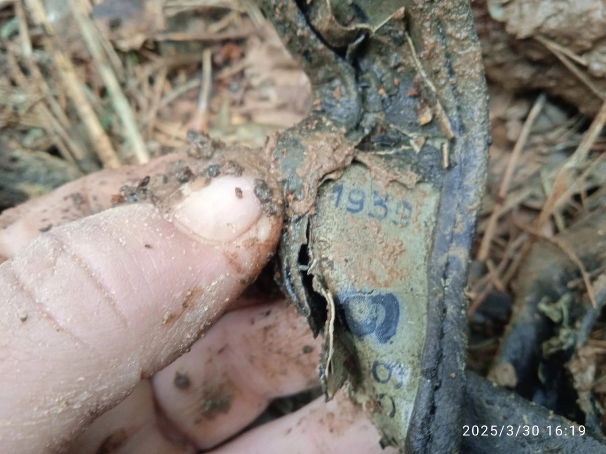 В двух районах Тверской области поисковики нашли останки немецких солдат