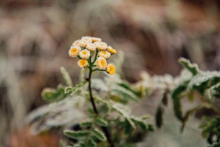 Погода заморозки Тверь