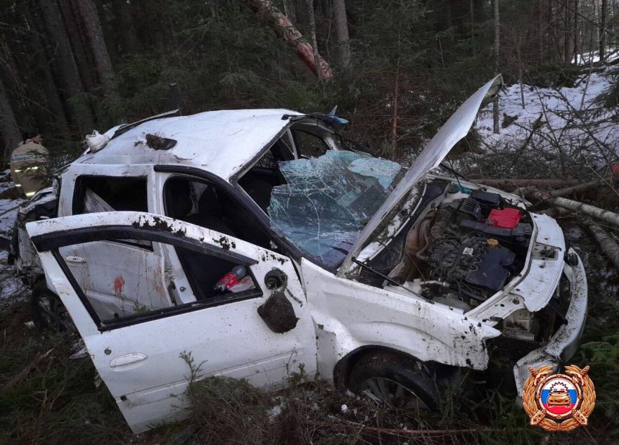В жутком ДТП в Тверской области выжил только один человек