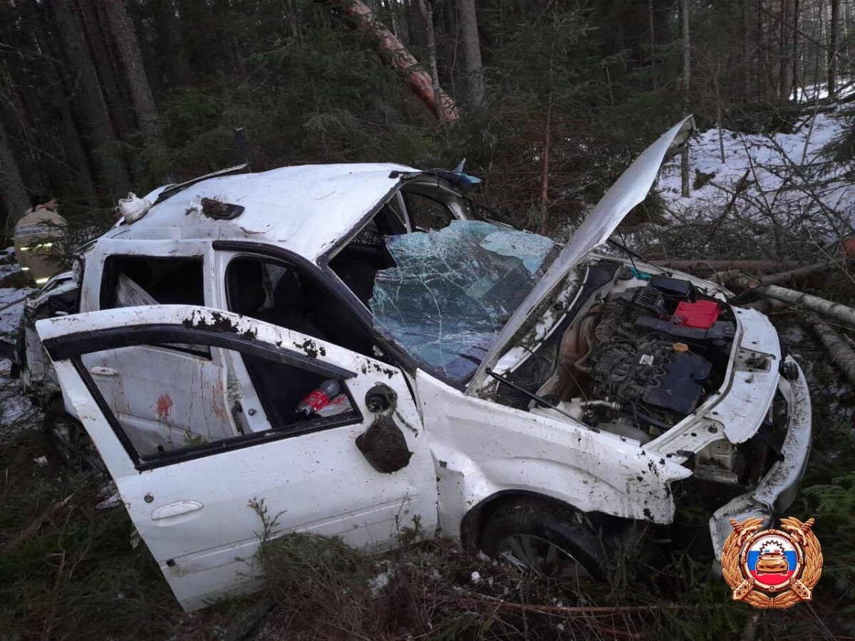 В жутком ДТП в Тверской области выжил только один человек