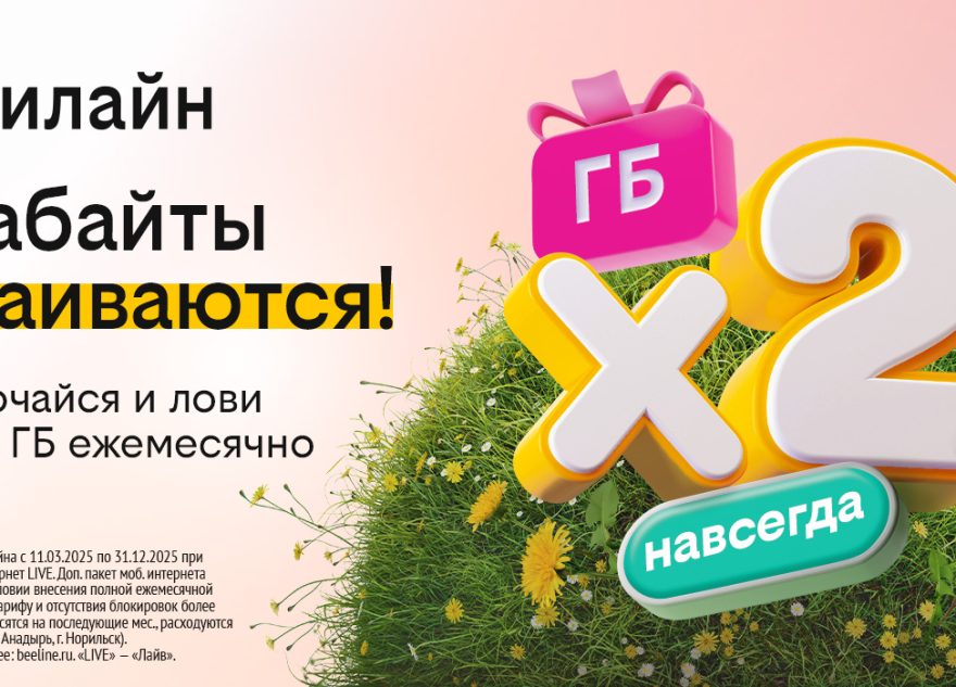 Бесконечное удвоение гигабайтов: билайн запустил акцию для организации интернета в загородном доме