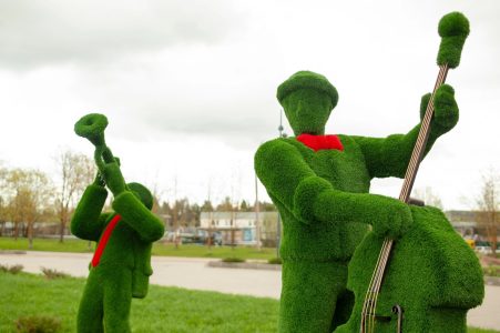 В парке Тверской области появились необычные зеленые гости В парке Тверской области появились необычные зеленые гости