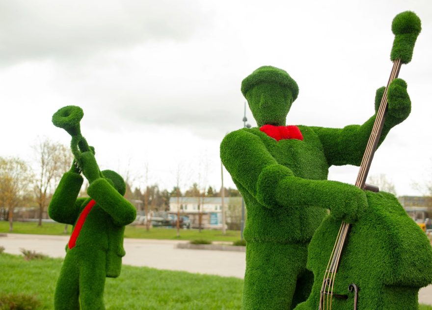 В парке Тверской области появились необычные зеленые гости