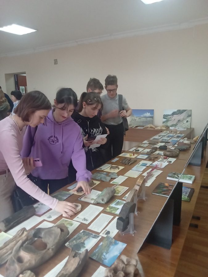 В Твери впервые показали плиту с панцирями каменноугольных ежей