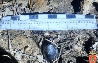 22-летний парень сделал в Тверской области больше 30 наркозакладок 22-летний парень сделал в Тверской области больше 30 наркозакладок