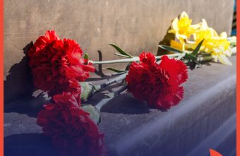 Почему красная гвоздика стала символом Дня Победы Почему красная гвоздика стала символом Дня Победы