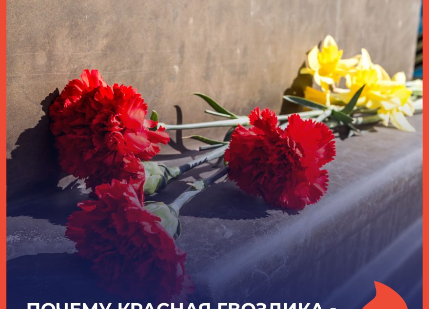 Почему красная гвоздика стала символом Дня Победы Почему красная гвоздика стала символом Дня Победы