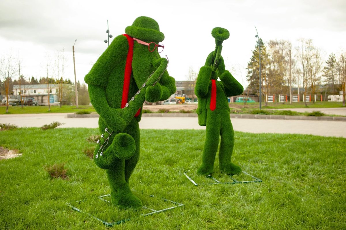 В парке Тверской области появились необычные зеленые гости