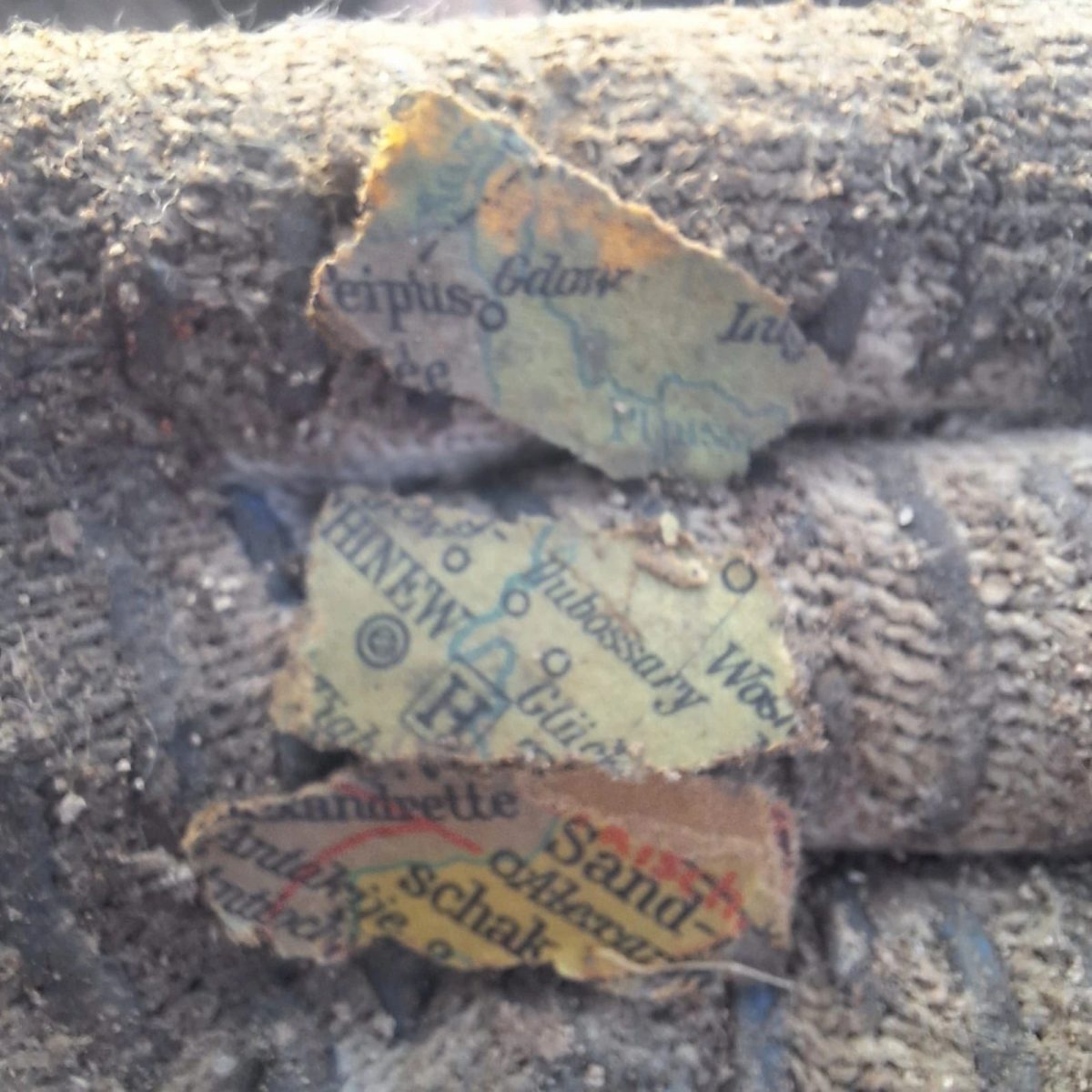 В двух районах Тверской области поисковики нашли останки немецких солдат