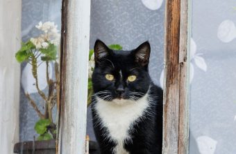 Синоптики рассказали о погоде на майские праздники в Тверской области