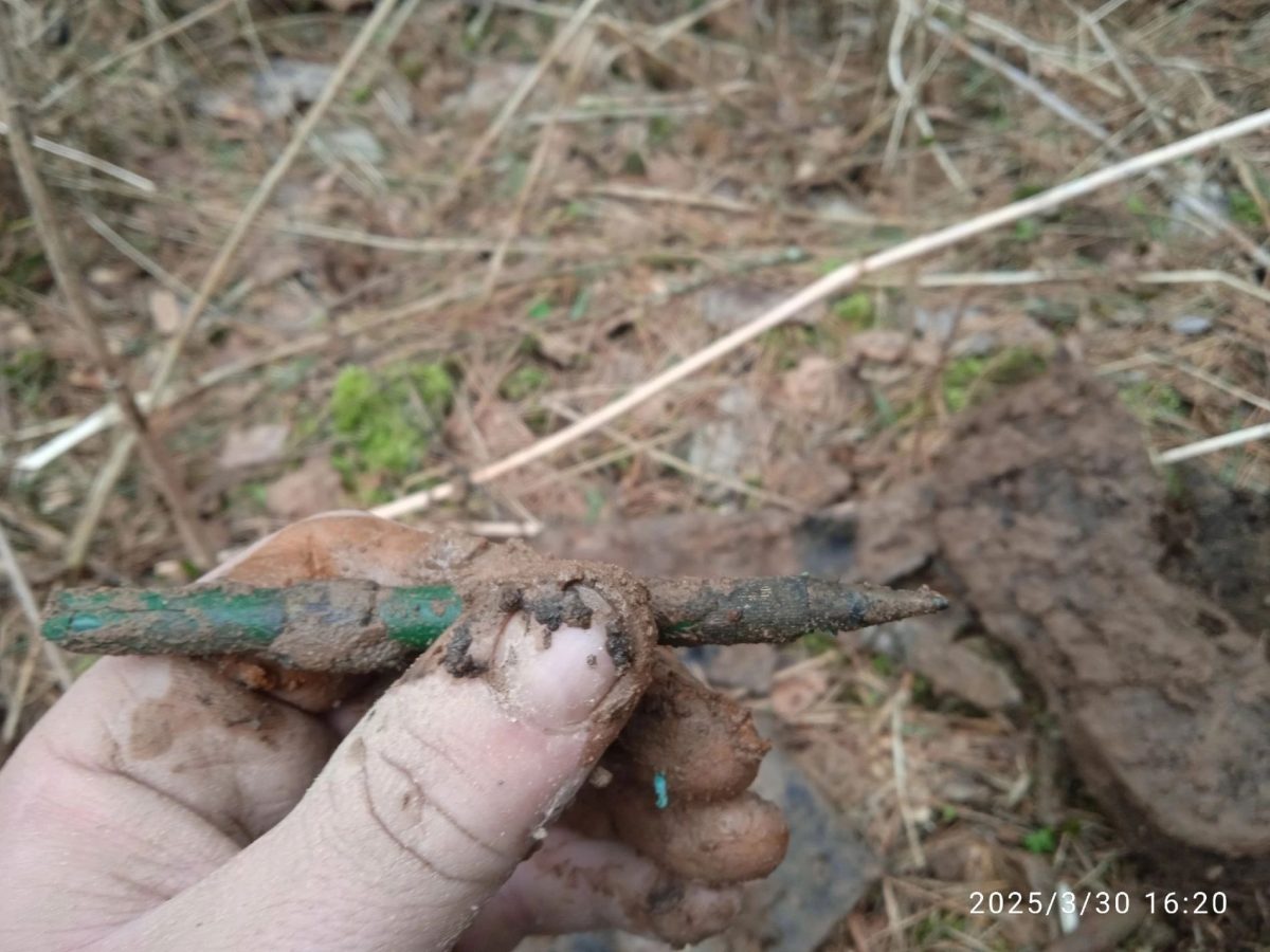 В двух районах Тверской области поисковики нашли останки немецких солдат