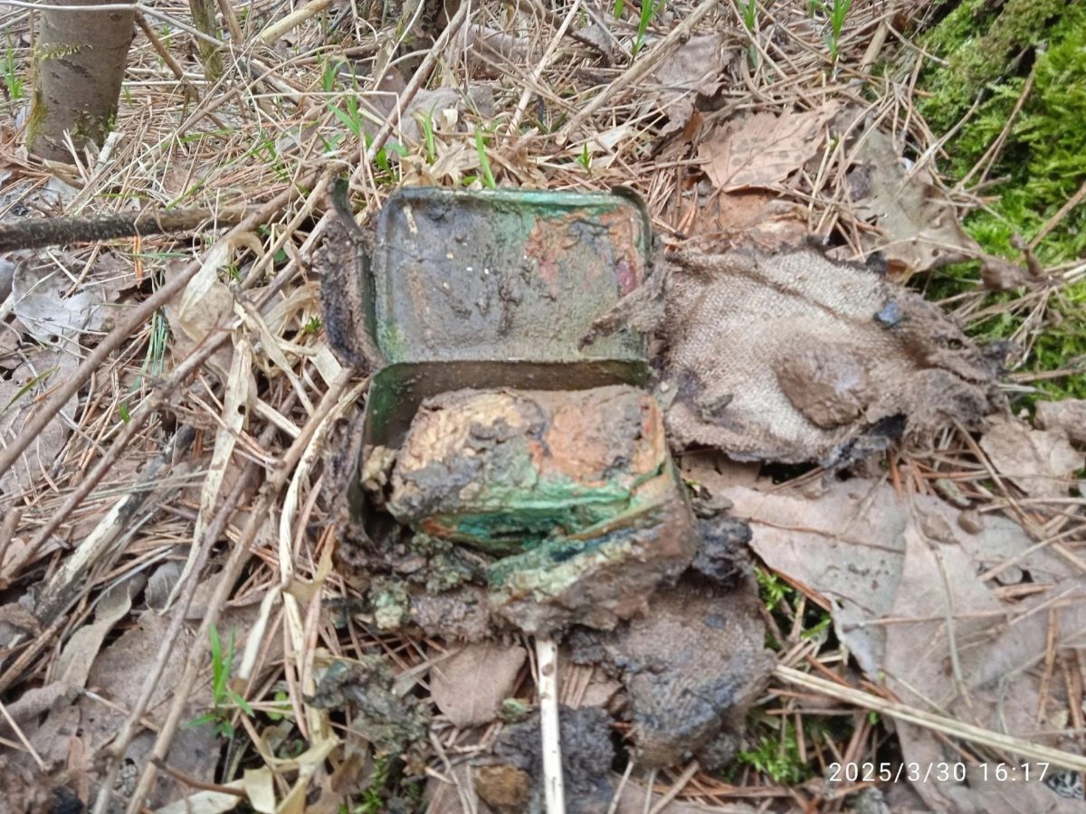 В двух районах Тверской области поисковики нашли останки немецких солдат