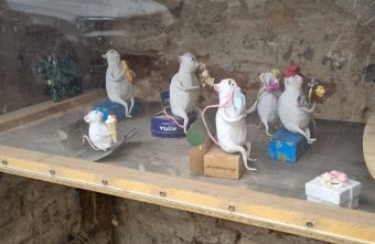 Мышиный театр восстановили в Твери Мышиный театр восстановили в Твери