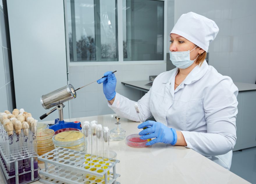 Бактерии группы кишечной палочки выявили специалисты Тверской испытательной лаборатории