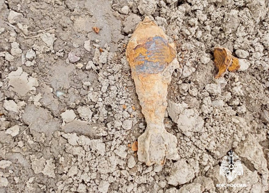 В Тверской области нашли снаряд и мину времён войны