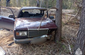 Водитель, врезавшийся в дерево в Тверской области, был пьян Водитель, врезавшийся в дерево в Тверской области, был пьян