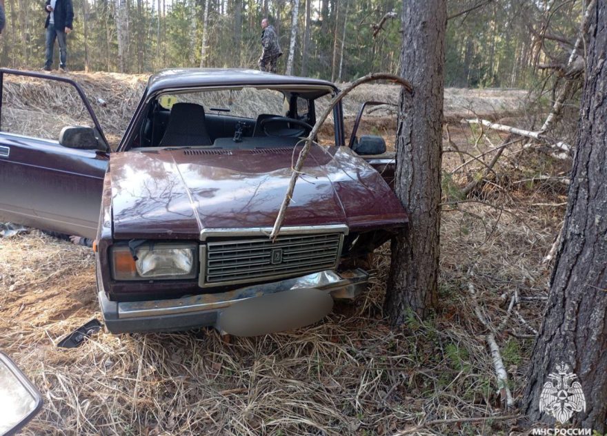 Водитель, врезавшийся в дерево в Тверской области, был пьян