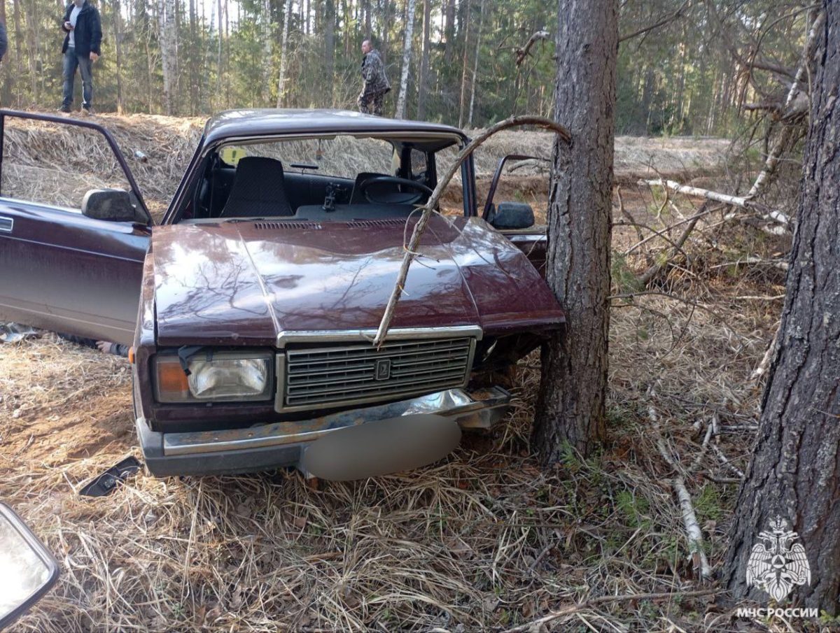Водитель, врезавшийся в дерево в Тверской области, был пьян