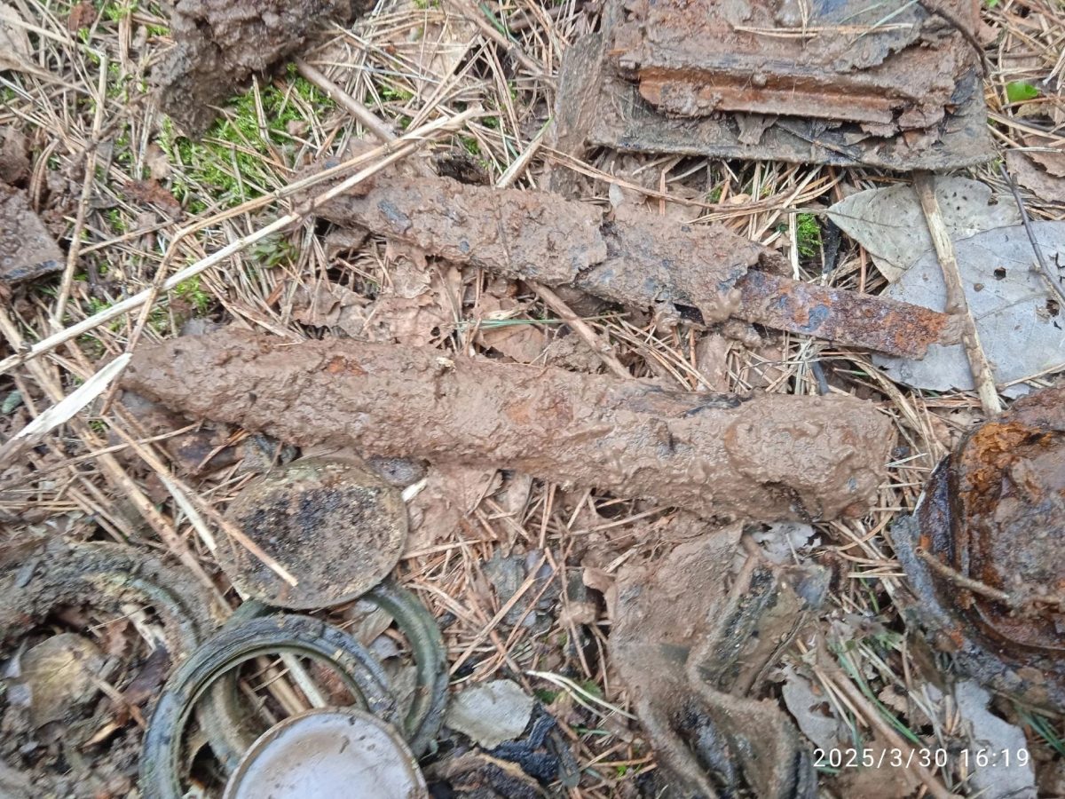 В двух районах Тверской области поисковики нашли останки немецких солдат
