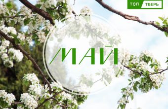 От пенсий до диверсий: законы мая изменят жизнь иноагентов, охранников и алиментщиков   От пенсий до диверсий: законы мая изменят жизнь иноагентов, охранников и алиментщиков