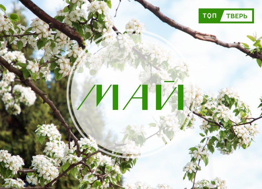 От пенсий до диверсий: законы мая изменят жизнь иноагентов, охранников и алиментщиков От пенсий до диверсий: законы мая изменят жизнь иноагентов, охранников и алиментщиков