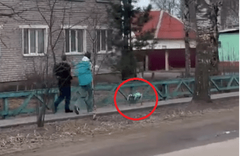 Жители поселка в Тверской области выгуливают робота-собаку