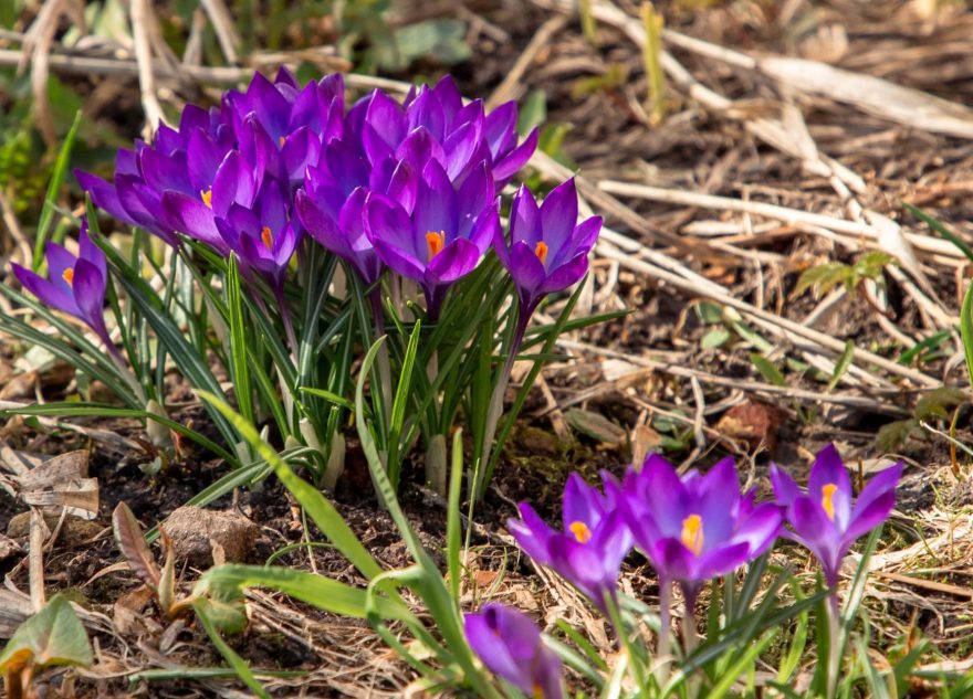 Синоптики назвали сроки потепления в Тверской области