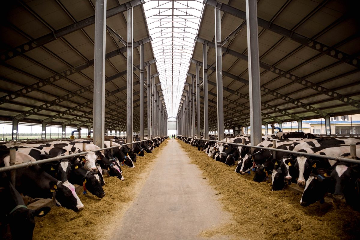 Школьники Тверской области открыли для себя профессии будущего в аграрном секторе