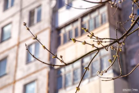 Известный синоптик дал прогноз на весну и лето в Тверской области Известный синоптик дал прогноз на весну и лето в Тверской области