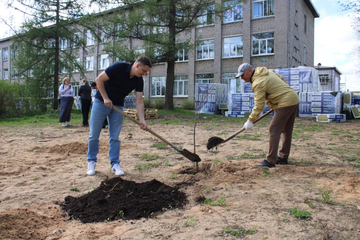 «Сад памяти»: в Тверской области высадили больше 150 тысяч саженцев и сеянцев деревьев