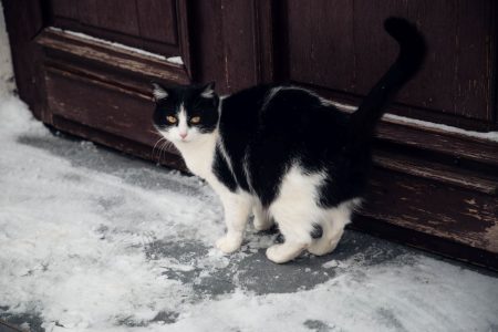 Синоптики советуют жителям Тверской области не убирать теплые куртки Синоптики советуют жителям Тверской области не убирать теплые куртки
