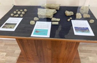 В Тверской области действует уникальный палеонтологический музей В Тверской области действует уникальный палеонтологический музей