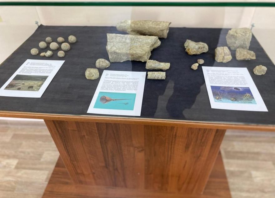 В Тверской области действует уникальный палеонтологический музей