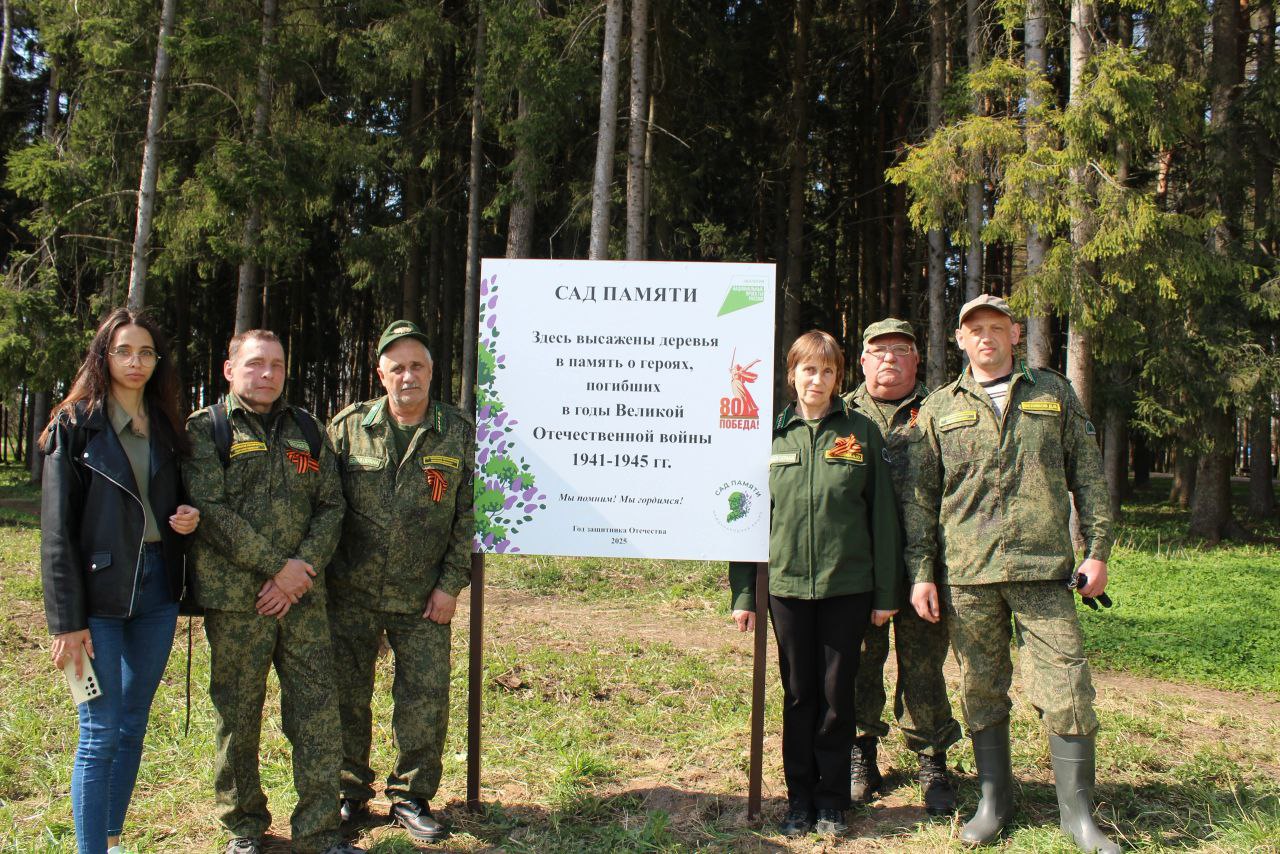 «Сад памяти»: в Тверской области высадили больше 150 тысяч саженцев и сеянцев деревьев