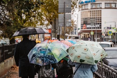 Снег в Тверской области сменится дождем: температура воздуха резко поднимется вверх Снегопады в Тверской области сменятся ливнями