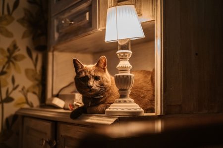 23 апреля жители Тверской области останутся без света 23 апреля жители Тверской области останутся без света