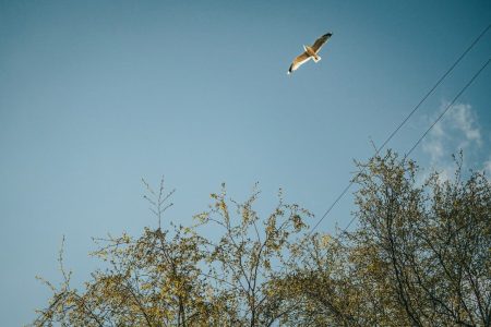 После холодов в Тверской области наступит лето После холодов в Тверской области наступит лето