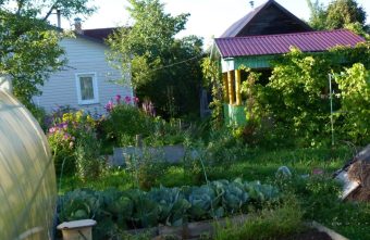 Союз дачников опубликовал календарь посадок на апрель Союз дачников опубликовал календарь посадок на апрель