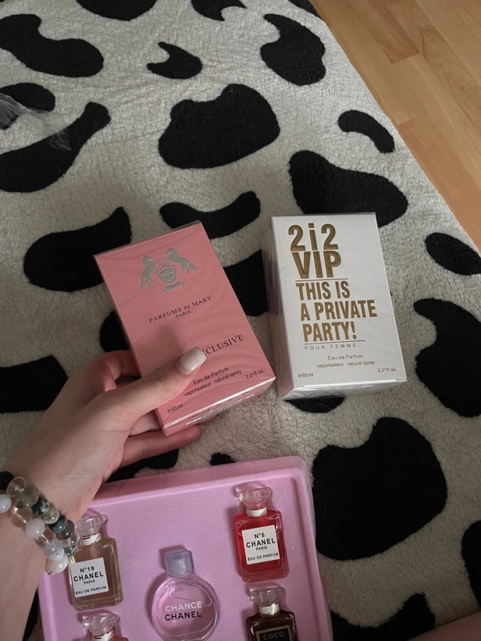 Вид мошенничества в Тверской области вышел на новый уровень