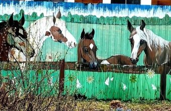Красочный забор радует прохожих на улице в Тверской области