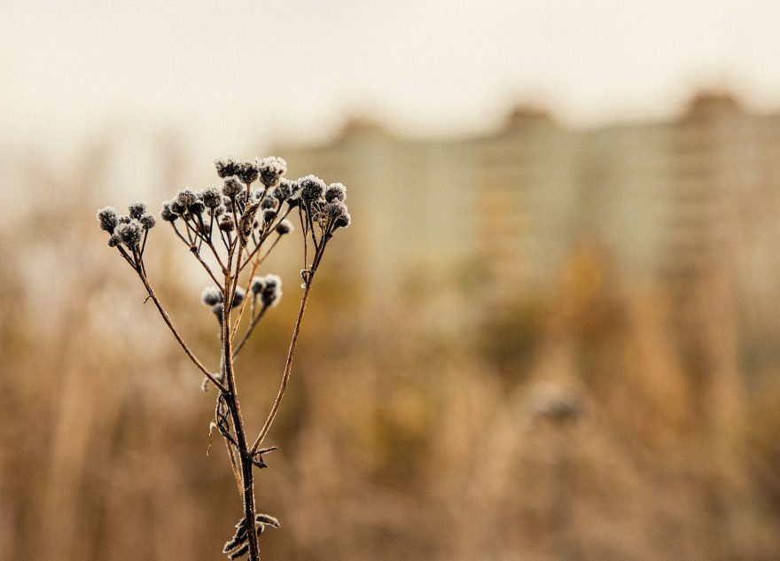 В Тверской области начинаются дневные морозы