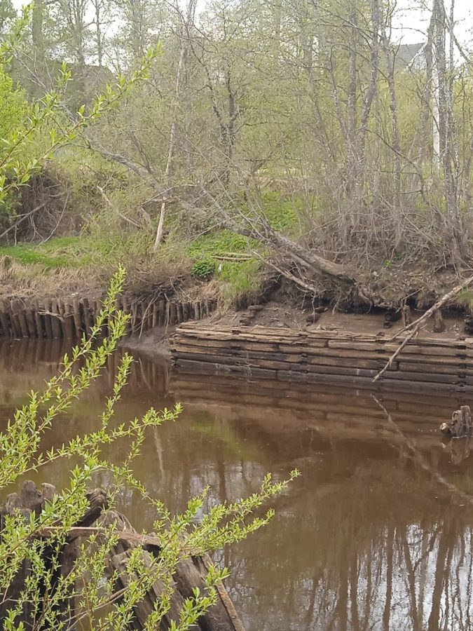 В Тверской области обнаружили построенную немецкими пленными плотину