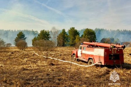 Гектары сухой травы горят в Тверской области Гектары сухой травы горят в Тверской области