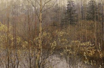 Тверской художник поделился своими живописными работами в социальной сети