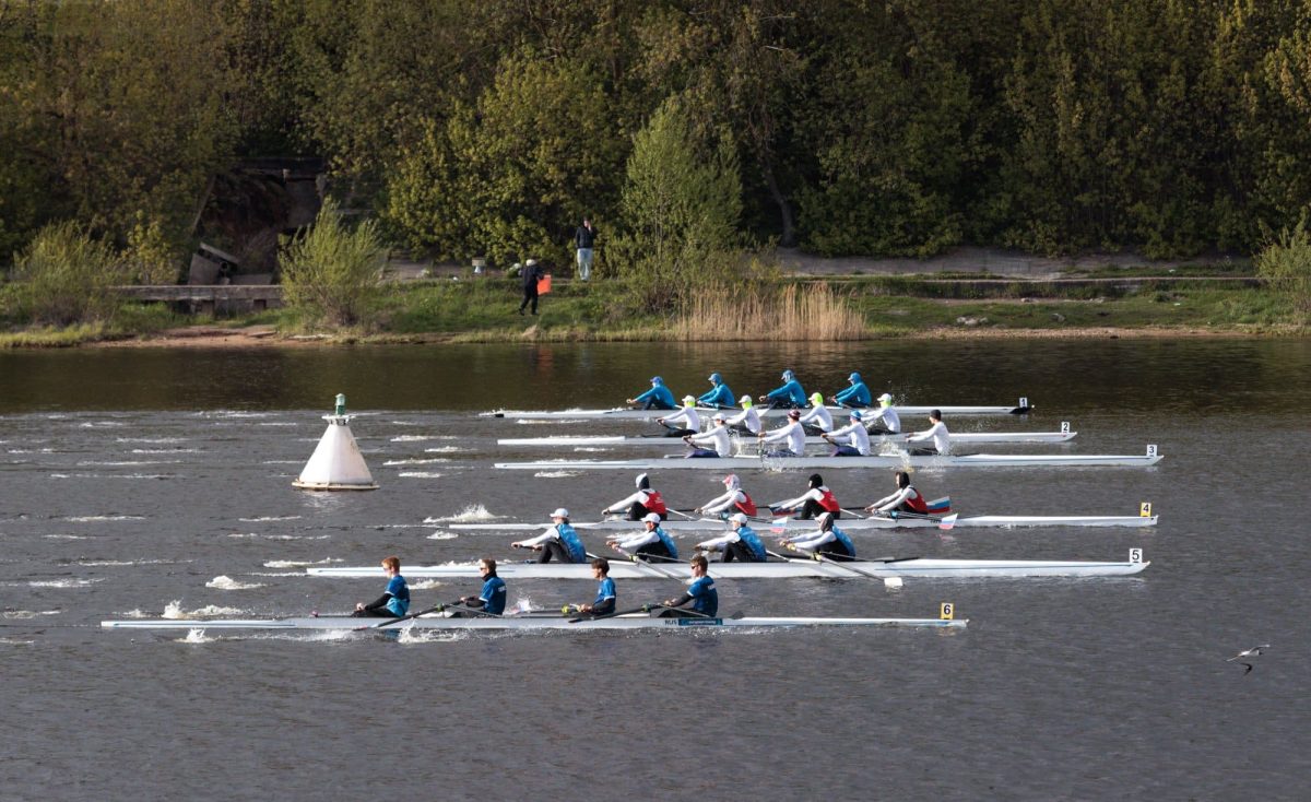На домашней воде тверские гребцы завоевали золото и три бронзы  